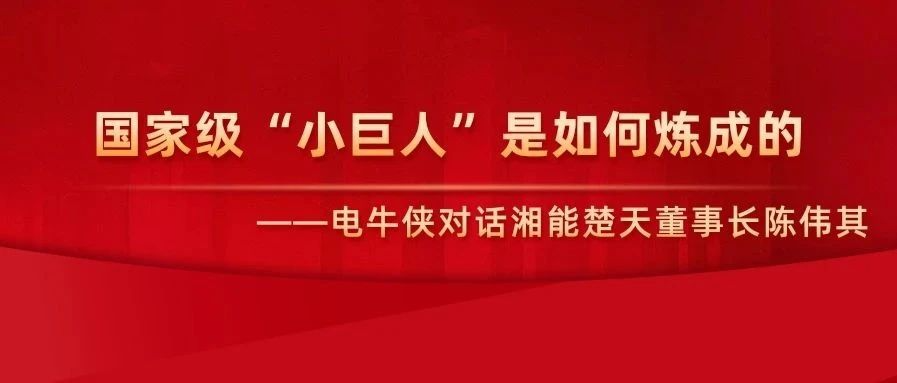 國家級“小巨人”是如何煉成的 ——電牛俠對話湘能楚天董事長陳偉其